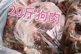 玉林狗肉真的那么好吃？又一个人要20狗肉，必须要发顺丰。视频封面