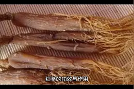 红参的作用和功效