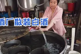华子去老酒厂打散装白酒，4.5一斤，打了46斤207块钱，闻着真香视频封面