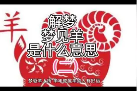 解梦，梦见羊是什么意思（二）视频封面
