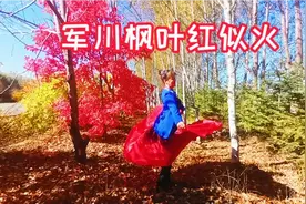 黑龙江省军川的枫叶红似火视频封面