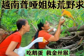 越南聋哑姐妹荒野求生，不但吃了一锅鹅蛋宴，还救了一只小金丝猴视频封面