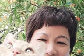 咪咪你去哪了？找了你一天！快回来！🙏😭