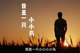 经典老歌，自己再弱小也不要放弃，怀旧歌曲，励志正能量