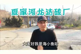 又一免费赶海地方，大连夏家河龙达砖厂，不知道的朋友告诉你在哪视频封面