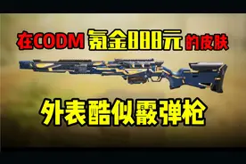 使命召唤手游:在codm里氪金888元的皮肤，外边酷似霰弹枪