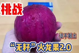 再次挑战徒手剥“无籽”火龙果，你们猜最后能挑战成功吗？