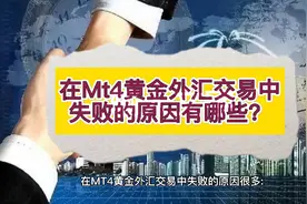 在Mt4黄金外汇交易中失败的原因有哪些？视频封面