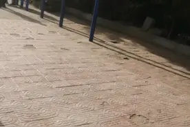 看别人怎么评价