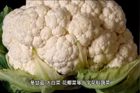 防止白菜、甘蓝等蔬菜上的小菜蛾，用这几种新药，＿打一个准视频封面