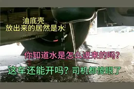 “泡水车”真实面貌，发动机里面全是水，看修理工，如何维修！