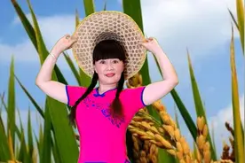 广场舞《妹妹往哪走》动听的情歌，欢快新颖的舞步，醉人好看