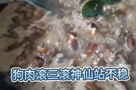 粤西人的性格就是豪爽，一年四季都吃狗肉，狗肉滚三滚神仙站不稳视频封面
