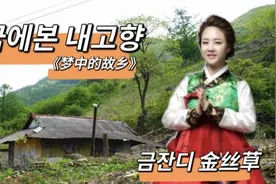 金丝草금잔디《梦中的故乡꿈에본 내고향》身在他乡梦回故里～视频封面
