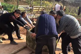 农村小伙的院坝改造计划，古董水缸全村人都来帮忙抬，这效果真美