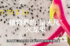 知识科普（水果篇）植物“量天尺”-火龙果，