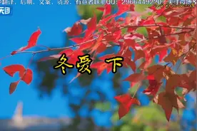 剧名:冬爱“讲述的是简单，纯情的爱情故事”视频封面