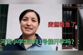 河南农村小学9月1号能上学吗？麦穗急的转圈圈，硕硕反应太搞笑。