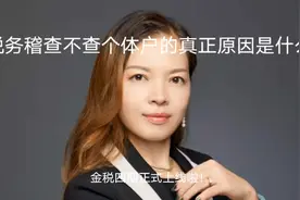 税务稽查不查个体户的真正原因是什么？视频封面