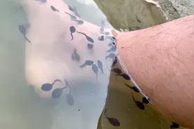 我现在才知道，蝌蚪居然还能做鱼疗，大家有兴趣可以去试试视频封面