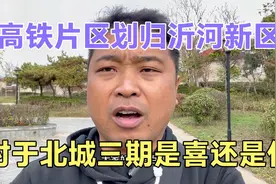 临沂白沙埠划归沂河新区对于高铁片区人民来说绝对是大好的消息视频封面