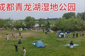 清明节成都近郊的青龙湖湿地公园，场面太壮观了，不愧是休闲之都视频封面