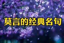 《莫言的经典名句》视频封面