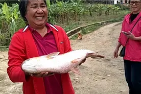 阳春市圭岗氹仔鱼视频封面
