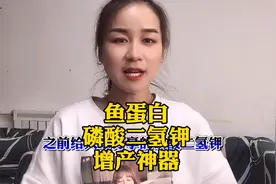 鱼蛋白搭配磷酸二氢钾使用，效果显著。