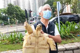 香港朋友今日分享，实拍香港平民一天的生活状况，难以置信视频封面