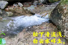 疏影水清浅，溪小自缠绵。徒步山林，涓涓水流声声入耳视频封面