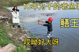 在10年未干的鱼塘徒手抓鳝鱼，纯野生的能卖80块钱一斤吗？视频封面