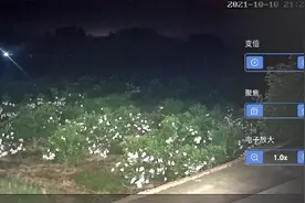 300w全彩球机监控，晚上能看到100米内，人物跟踪，智能跟踪报警视频封面
