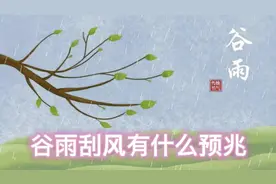谷雨节气刮大风有什么预兆，快来看看老祖宗是怎么说的吧视频封面