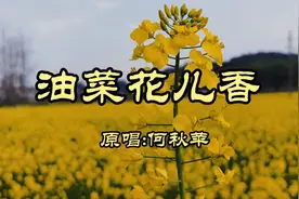 春暖花开的季节，一首《油菜花儿香》委婉动听，让人沉醉视频封面