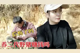 小伙养二代野猪2年，大伙说发财了为啥他却说后悔了？听他咋说视频封面