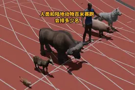 人类和陆地动物百米赛跑的速度对比！视频封面
