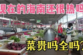 9月初的海南还是很热吗？菜市场菜贵吗全吗？候鸟们回来的多吗？视频封面