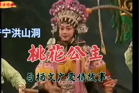 059潮州十八洞洪山洞桃花公主，与杨家将后代杨文广爱情故事视频封面