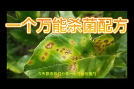 一个万能杀菌配方！细菌真菌病毒都能杀！