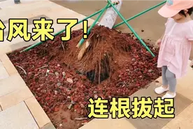 海南台风过境，留下了什么景象，狂风暴雨把母女俩淋成落汤鸡。视频封面