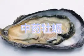 中药牡蛎视频封面
