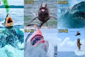 六版鲨鱼离开水面，你觉得哪个最凶猛？五头鲨最凶猛