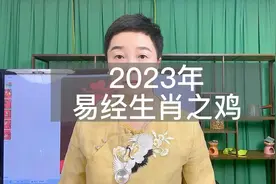 2023年易经生肖之鸡视频封面
