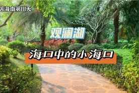 旅居海南111天，海口的大型社区什么样?这里不愧是海口中的海口​视频封面