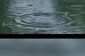 济南华山湖的水真绿阿！！！视频封面