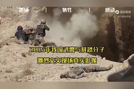 2015年新疆反恐事件,21名暴恐分子残害公安,武警历经56天将其击毙视频封面