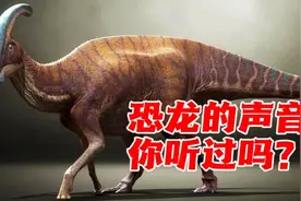 你听过恐龙的声音吗？原来副栉龙的声音是这样！#史前巨兽