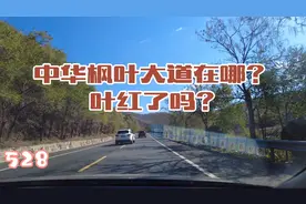 看红叶（上），追忆两个新开岭战役！韩先楚上将解放鞍山及184师视频封面
