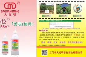大光明科得拉，防治玉米钻心虫，草地贪夜蛾特效药视频封面